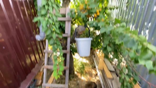 ПАПА с МИТЕЙ обалденным занимаются ДЕЛОМ смотреть онлайн