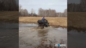 Linhai Yamaha M 200