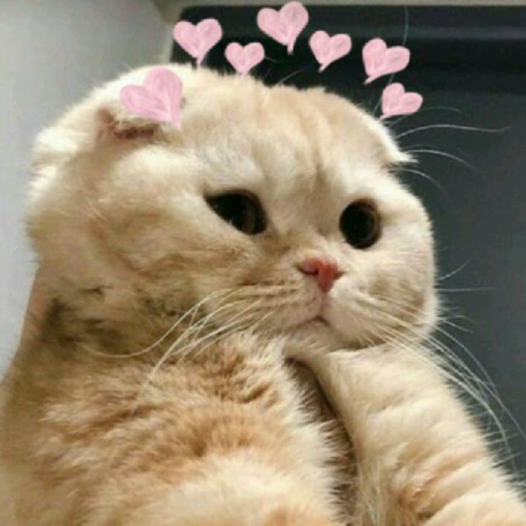 топ