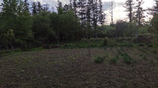 Смотрим дом в Грузии на море. Наверное будем брать. смотреть онлайн