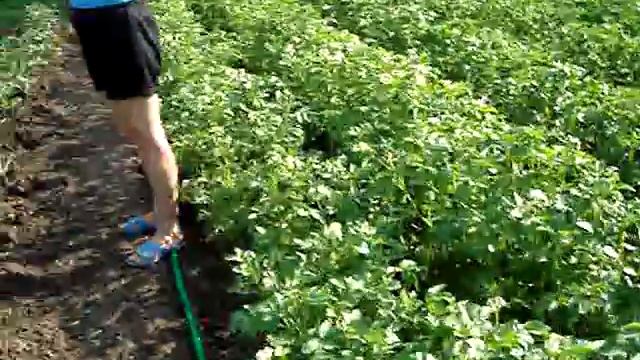 Поливалка смотреть онлайн