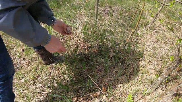 Весенняя Синеножка на закате волны смотреть онлайн