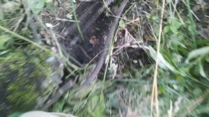 Нашел в лесу арматуру. Пилю аккумуляторной болгаркой