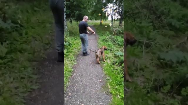 Жужа не понимала, что с ней происходит, пока не встретила ЕГО! Влюбилась по уши! Что теперь делать? смотреть онлайн