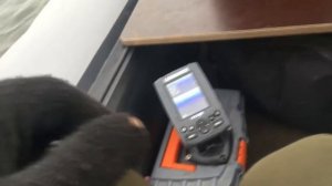 Рыбалка на щуку в Тамбовской области! #РыбалкавТамбове