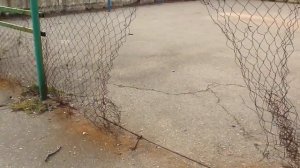 Феодосийский дворик. Челнокова.