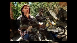 Биография Джареда Падалеки