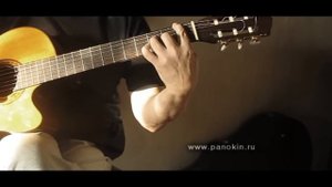 One Day - Gary Moore, acoustic guitar