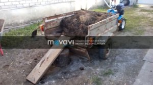 За навозом на мотоблоке Нева с прицепом