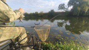 Клюёт ли рыба в жару? Рыбалка на фидер на реке Протве в августе 2022, Калужская область