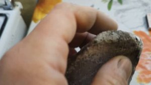 Испытание плиты ГСП огнём / Проверяю, насколько ГИПС ОГНЕУПОРНЫЙ И ПРОЧНЫЙ