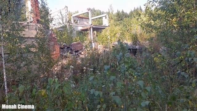 Неизвестный Заброшенный Пионерлагерь Советского Союза.