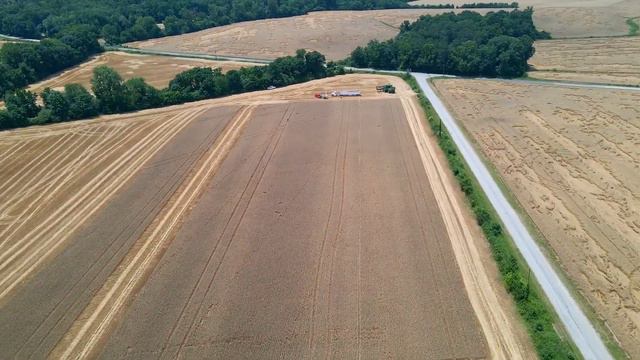 Parker & Sons Farms | Wheat Harvest 2022