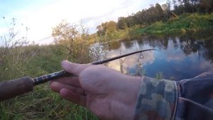 Река Протва