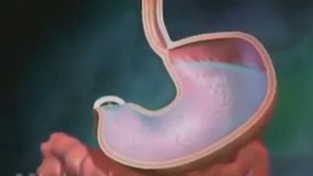 Виагра, сиалис, левитра.Принцип действия. смотреть онлайн