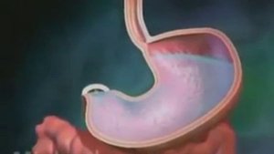 Виагра, сиалис, левитра.Принцип действия.