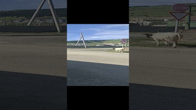 3. 3 августа. Достопримечательности Малокурильска