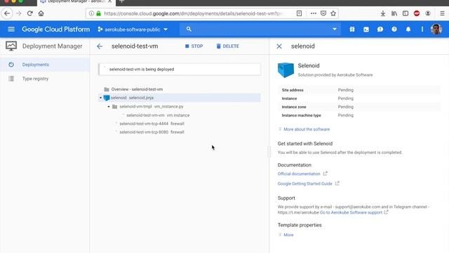Selenium In Docker. Selenoid: Running In Google Cloud