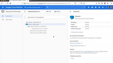 Selenium in Docker. Selenoid: Running in Google Cloud