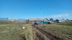 Самодельный трактор копаю картошку