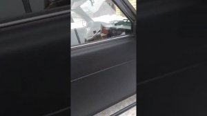 Нива в черном рапторе (Raptor )