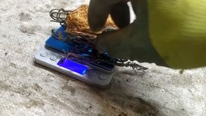 ОТХОДЫ В ДОХОДЫ! ДОБЫВАЮ МЕДЬ! ПРОЕКТ 100 КИЛО МЕДИ! ПОИСК МЕТАЛЛОЛОМА! АЛЮМИНИЕВЫЕ БАНКИ!