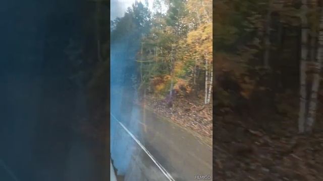 Хабаровск - Комсомольске-на-Амуре, междугородная трасса, 4 октября 2023. смотреть онлайн