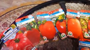 ПОСЕВ СЕМЯН ТОМАТОВ НА РАССАДУ. КАКИЕ СОРТА  ПОМИДОР СЕЮ ?