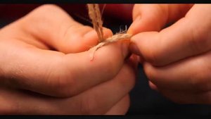 ПРИГОТОВИЛИ ОГРОМНОГО СТРАУСА ВЕСОМ 54 КИЛОГРАММА