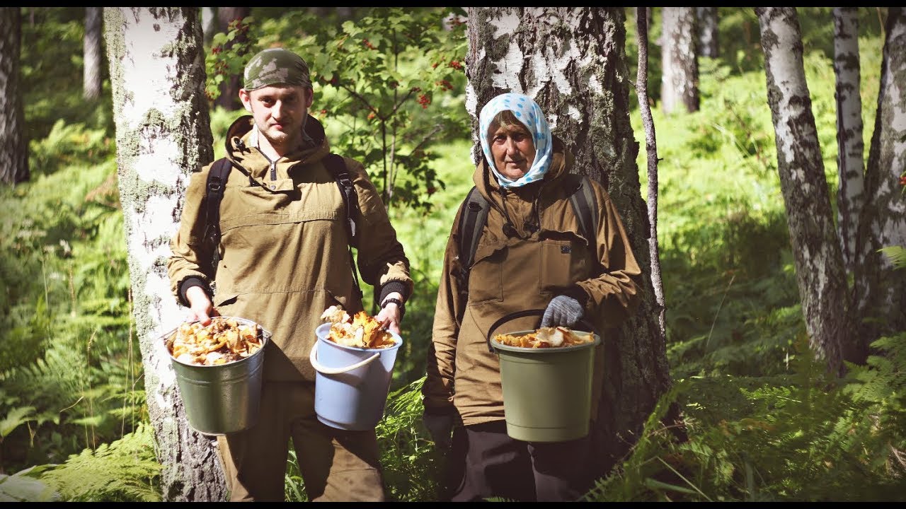 Жизнь лесника. Поход в лес за грибами. Поход за ягодами и грибами. Семейный поход за грибами. Поход грибы.