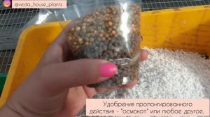 Грунт для Суккулентов. Обновлённый состав.