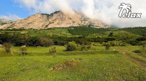 Sounds of Nature in the Mountains - Wind Noise and Birdsong