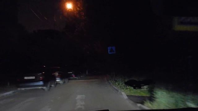 Адаптивный свет Форд Фокус 3 рестайл в движении смотреть онлайн