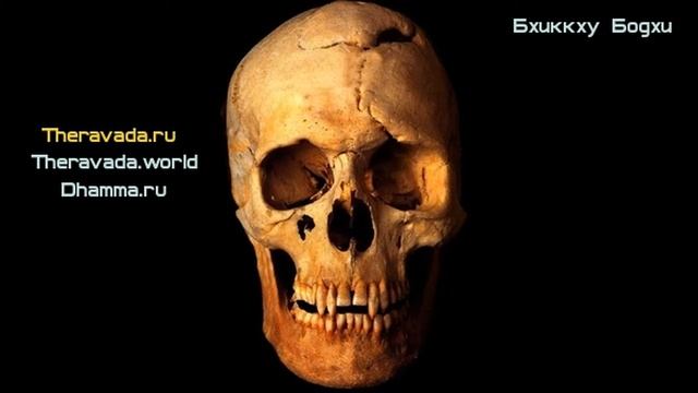 Дхамма (Учение Будды) без перерождения? смотреть онлайн