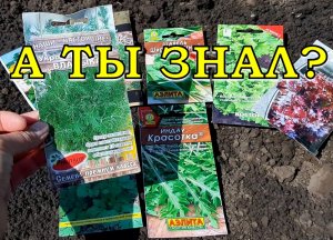 ЧТО посеять в ИЮЛЕ? Обзор огородных дел???