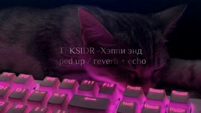 TEKSIDR - Хэппи энд | sped up / reverb + echo 🫢 смотреть онлайн