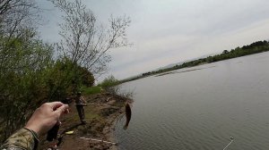 Ловля карася на спиннинг.mp4