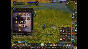 Гайд по фералу 3.3.5 пвп Arena-tournament