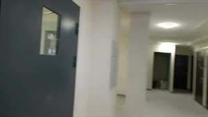 Питер  Парнас  Где дешевле  Студия