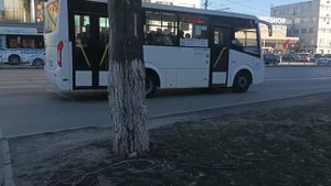 ?"Пазик нового поколения"| автобус паз вектор некст?