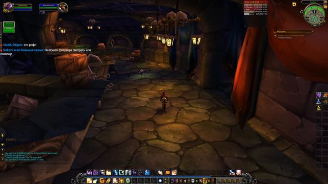 ПРЕДНОВОГОДНИЙ СТРИМ + РОЗЫГРЫШ В ГРУППЕ ВК! ➤ WoW смотреть онлайн