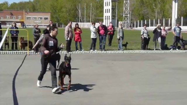 сравнение на ЛЮ.черн.MOV смотреть онлайн