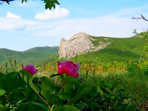 Вид с лесной поляны на гору Носорог (Парсук-Кая). Крым.