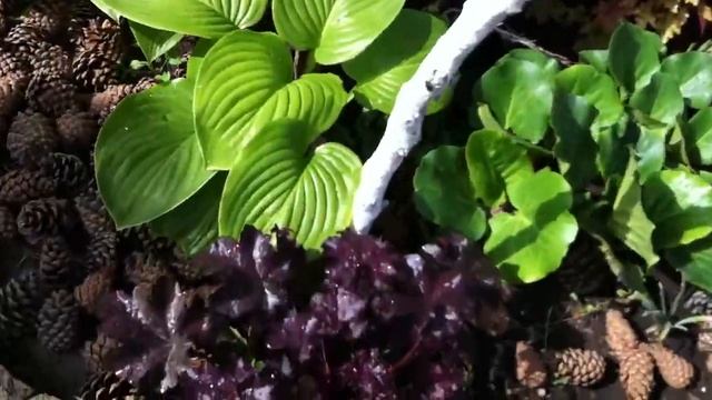 Красота стройке не помеха. смотреть онлайн