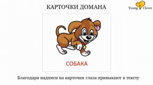 Карточки Домана – откуда они взялись? Как их использовать? Методика Домана.