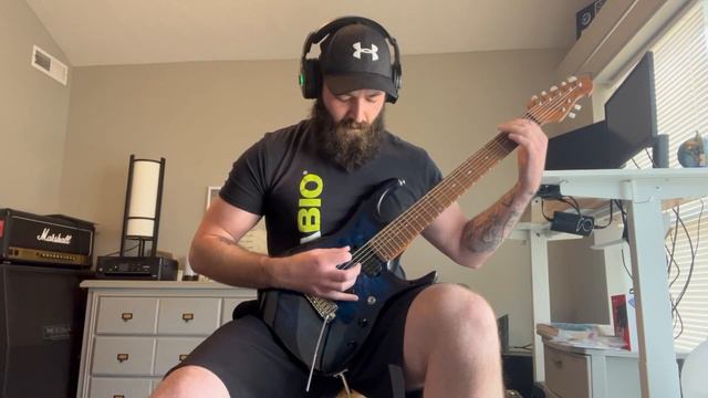 Birds Of Paradise, Birds Of Prey - The Acacia Strain | Guitar Cover смотреть онлайн