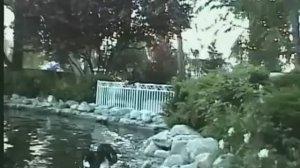 Mamikon Zakaryan mayrik