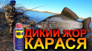 Ловим КАРАСЯ на фидер!!! МИФ или РЕАЛЬНОСТЬ Керосин и WD40!!! Весенняя рыбалка