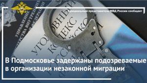 В Подмосковье задержаны подозреваемые в организации незаконной миграции