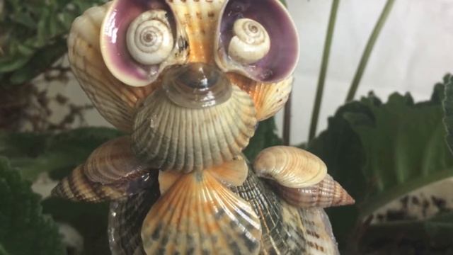 Альбом лучших поделок из морских ракушек своими руками 2 смотреть онлайн